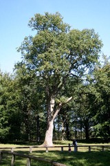 Killikus&reg; Fotographie